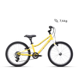CTM SLY 20"